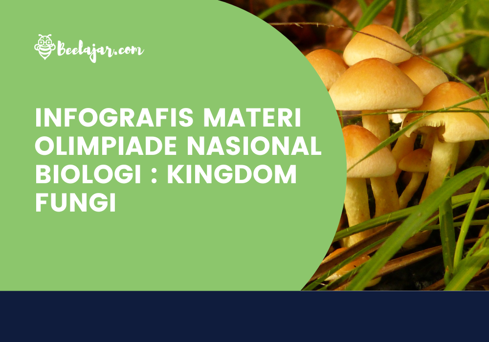 INFOGRAFIS MATERI OLIMPIADE NASIONAL BIOLOGI : KINGDOM FUNGSI