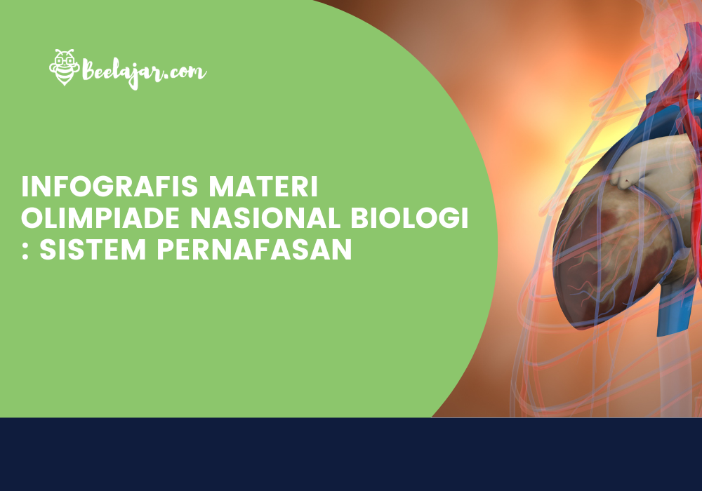 INFOGRAFIS MATERI OLIMPIADE NASIONAL BIOLOGI : SISTEM PERNAFASAN