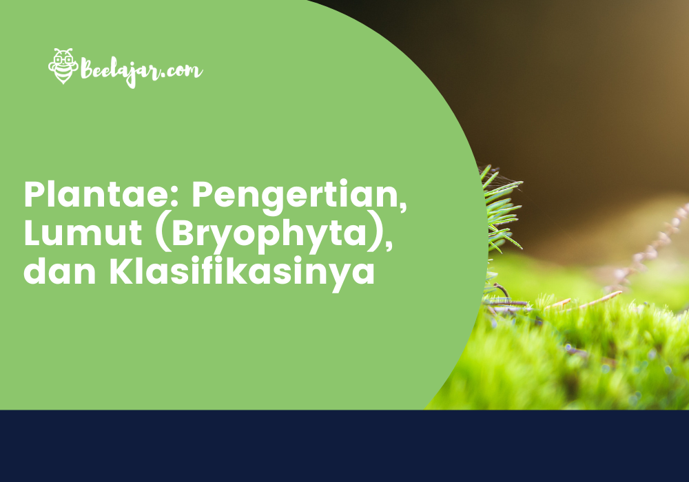 Plantae: Pengertian, Lumut (Bryophyta), dan Klasifikasinya