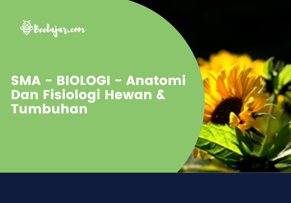 SMA - BIOLOGI - Anatomi Dan Fisiologi Hewan & Tumbuhan   