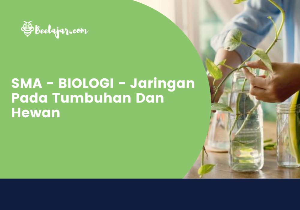 SMA - BIOLOGI - Jaringan Pada Tumbuhan Dan Hewan   