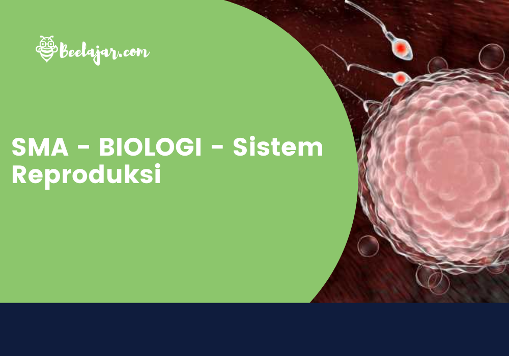 SMA - BIOLOGI - Sistem Reproduksi