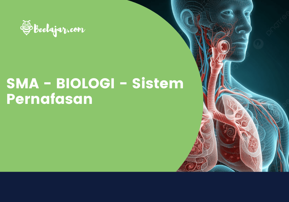 SMA - BIOLOGI - Sistem Pernafasan