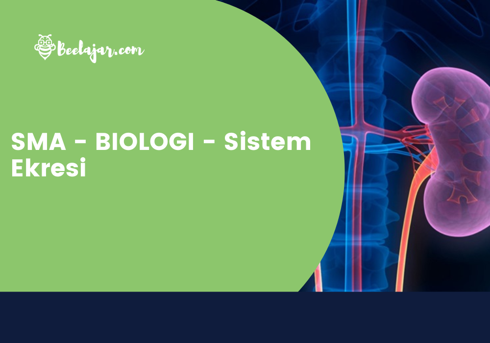 SMA - BIOLOGI - Sistem Ekresi