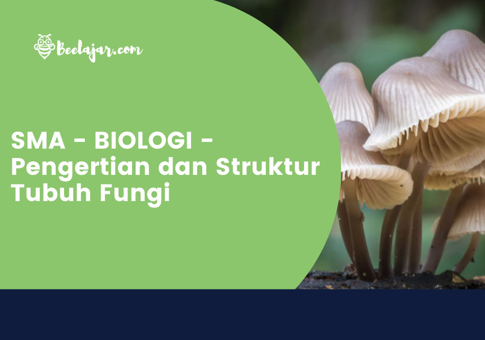SMA - BIOLOGI - Pengertian dan Struktur Tubuh Fungi