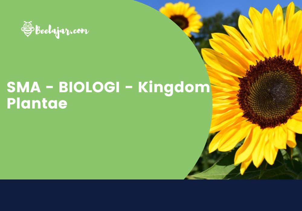 SMA - BIOLOGI - Kingdom Plantae