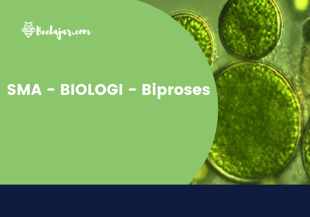 SMA - BIOLOGI - Biproses