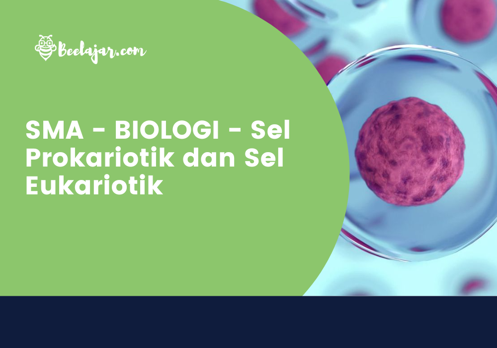 SMA - BIOLOGI - Sel Prokariotik dan Sel Eukariotik 