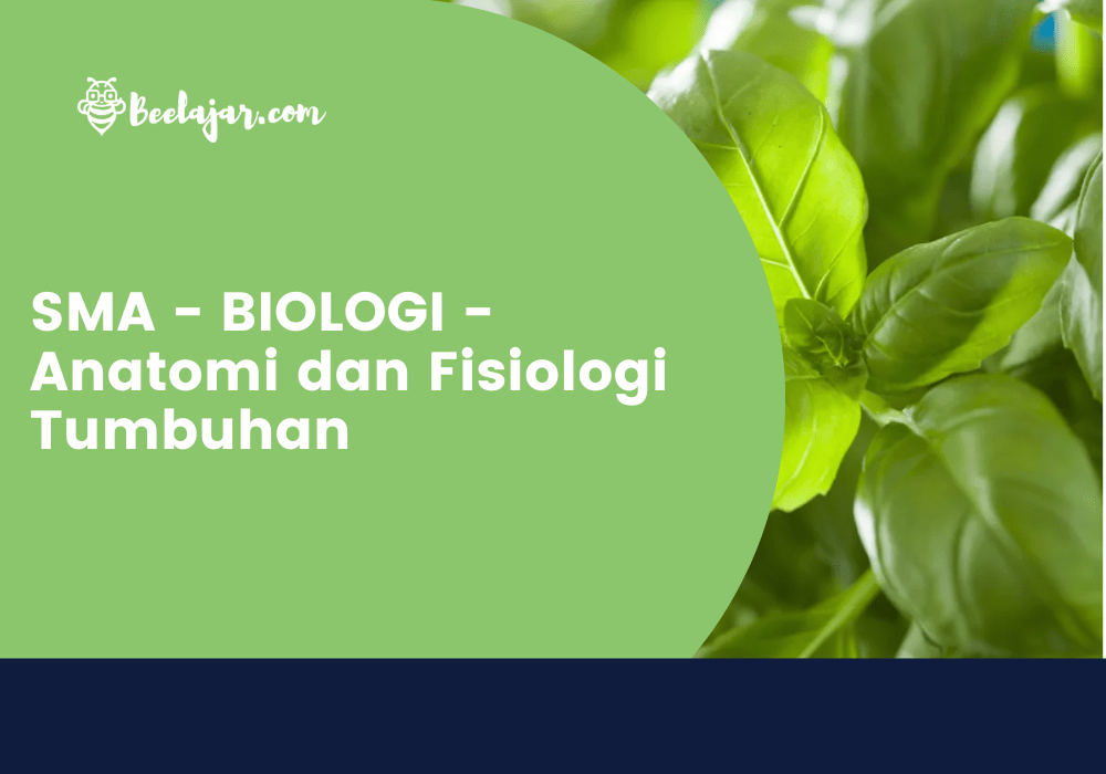 SMA - BIOLOGI - Anatomi dan Fisiologi Tumbuhan