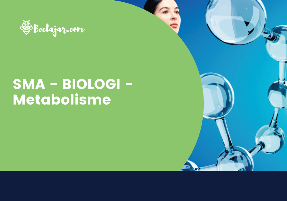 SMA - BIOLOGI - Metabolisme