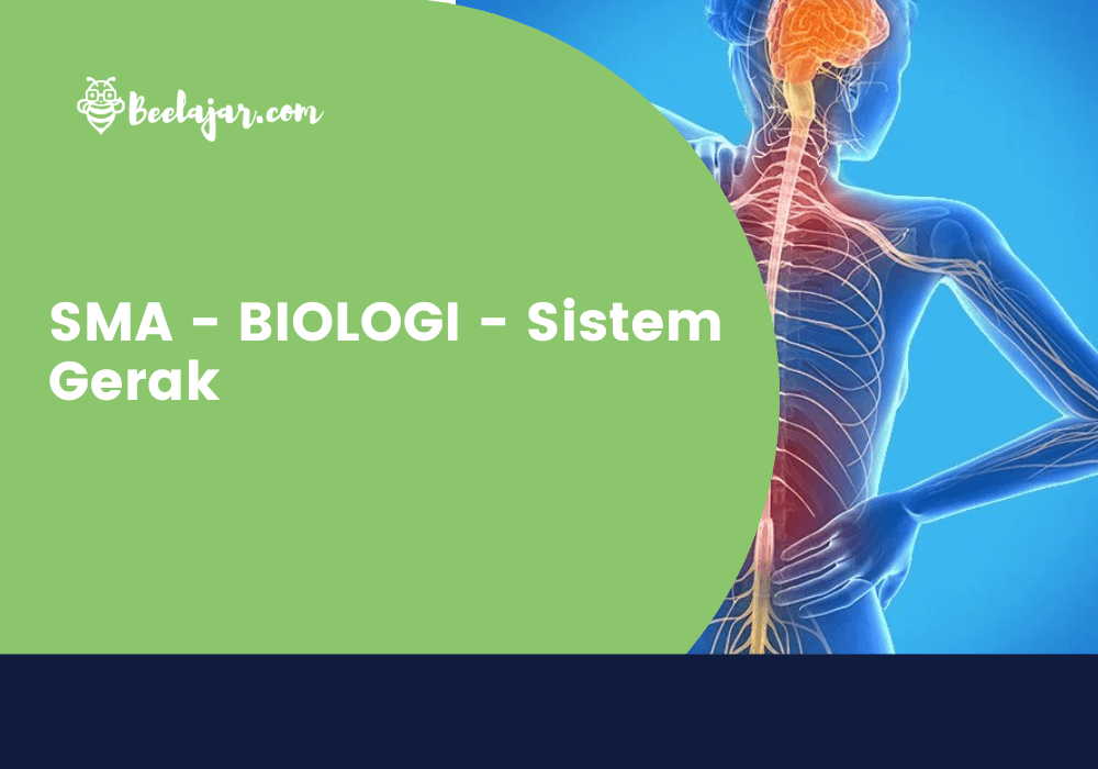 SMA - BIOLOGI - Sistem Gerak