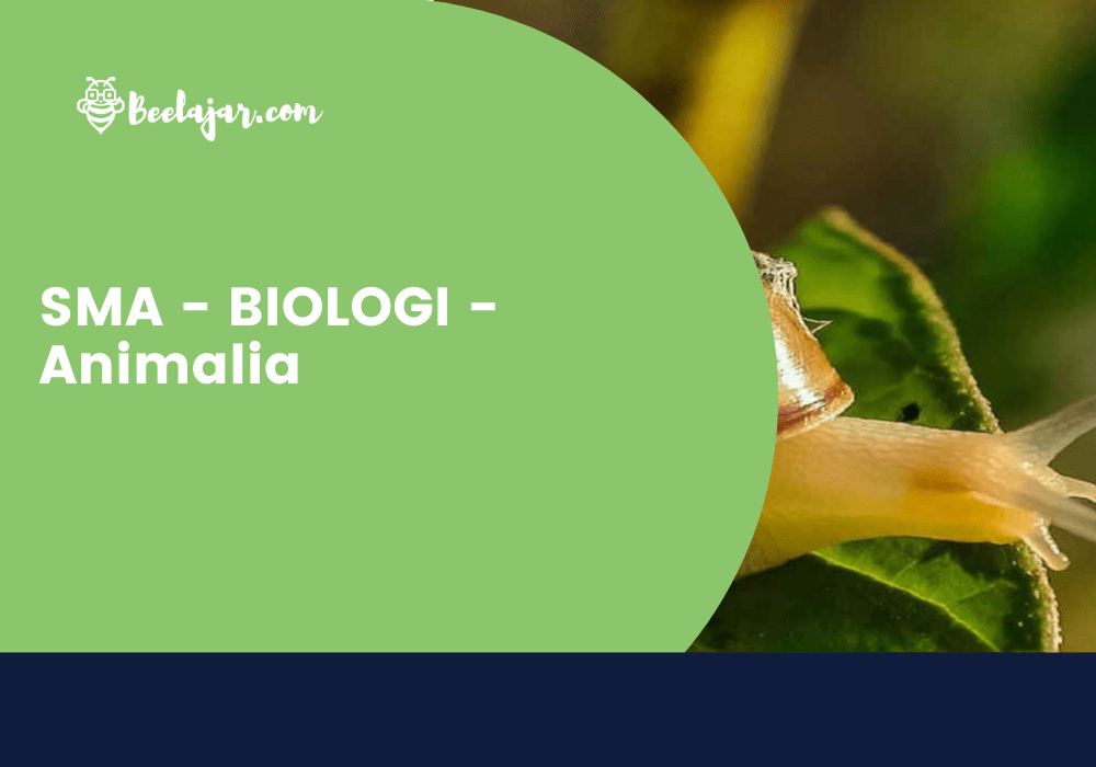 SMA – BIOLOGI – Animalia