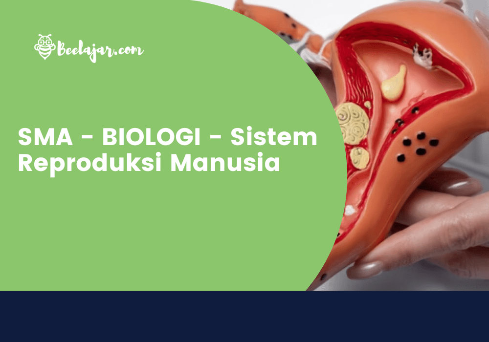 SMA - BIOLOGI - Sistem Reproduksi Manusia