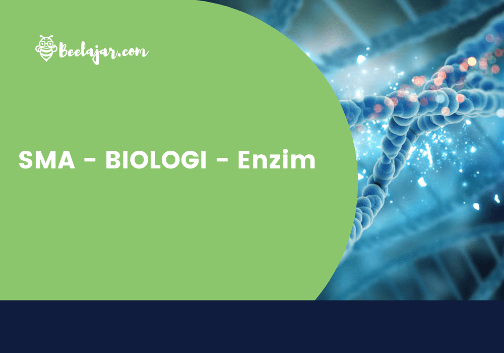 SMA - BIOLOGI - Enzim