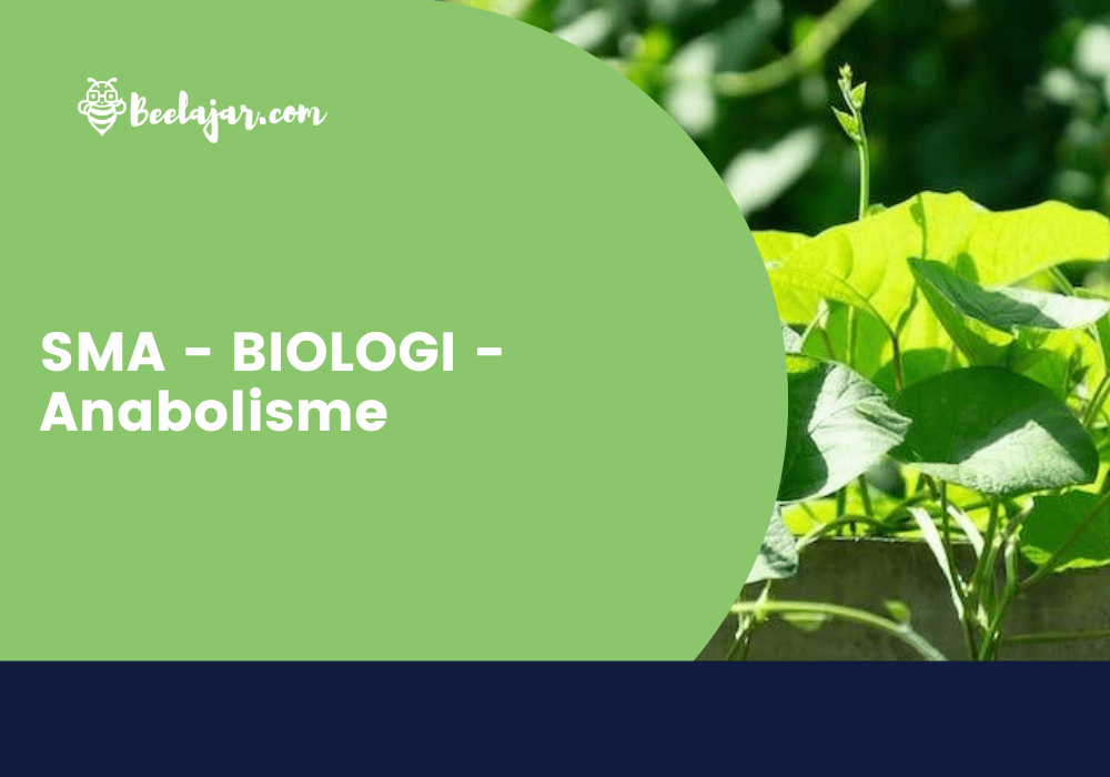 SMA - BIOLOGI - Anabolisme