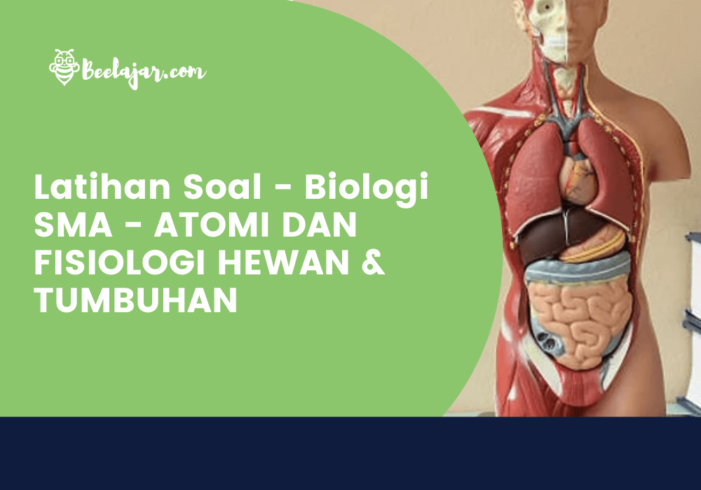 Latihan Soal - Biologi SMA - ANATOMI HEWAN & TUMBUHAN    