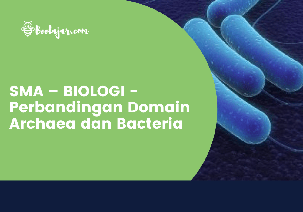 SMA – BIOLOGI - Perbandingan Domain Archaea dan Bacteria