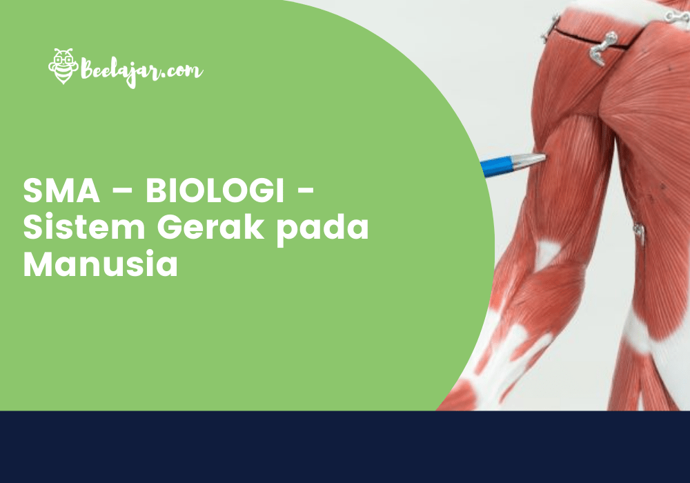 SMA – BIOLOGI – Sistem Gerak pada Manusia