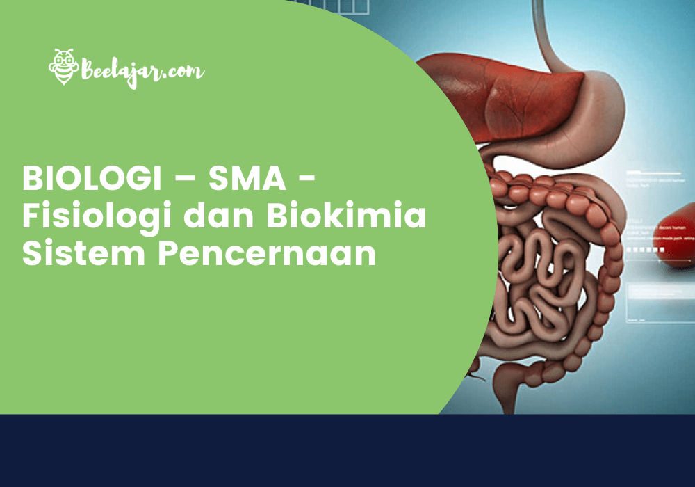 BIOLOGI – SMA - Fisiologi dan Biokimia Sistem Pencernaan