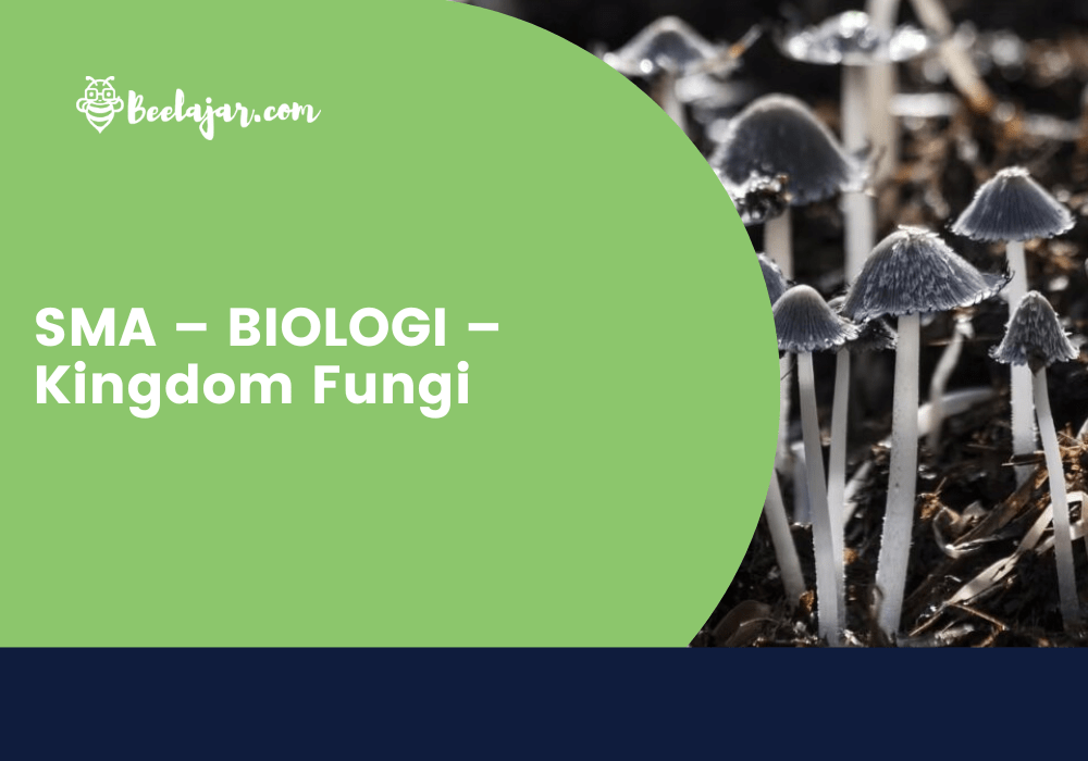 SMA – BIOLOGI – Kingdom Fungi