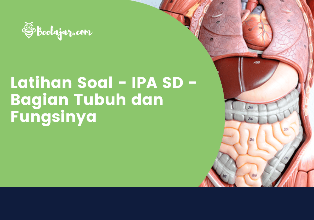 Latihan Soal - IPA SD - Bagian Tubuh dan Fungsinya