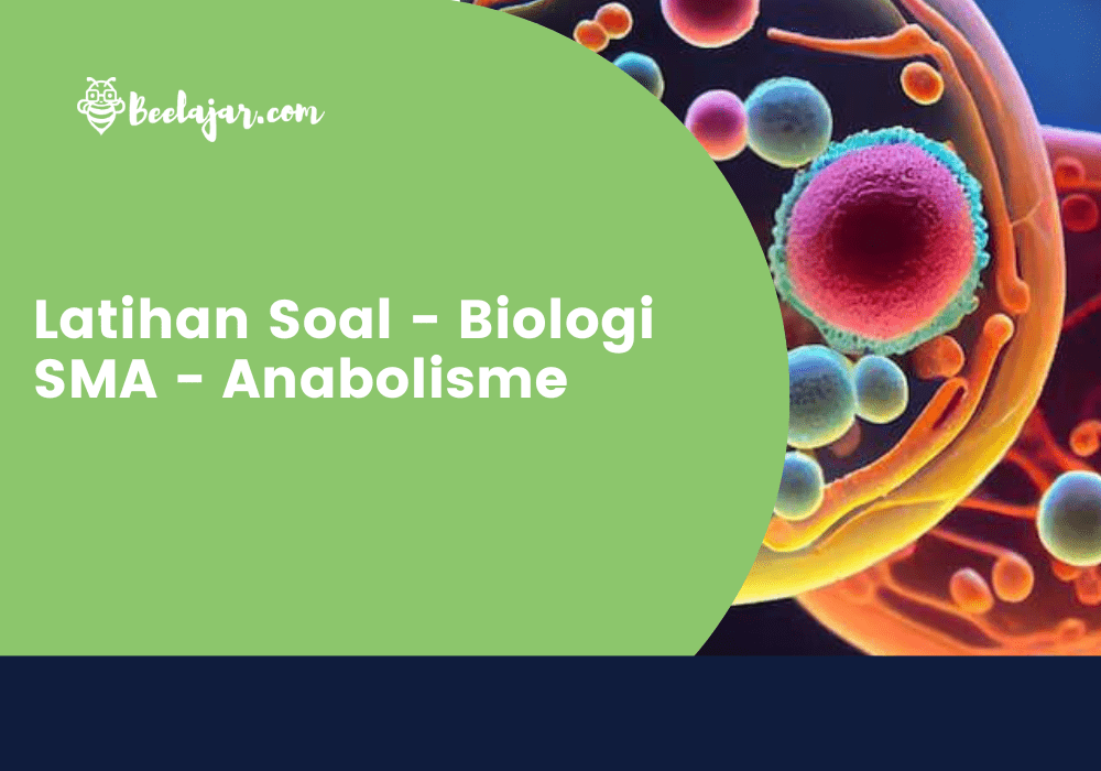 Latihan Soal - Biologi SMA - Anabolisme